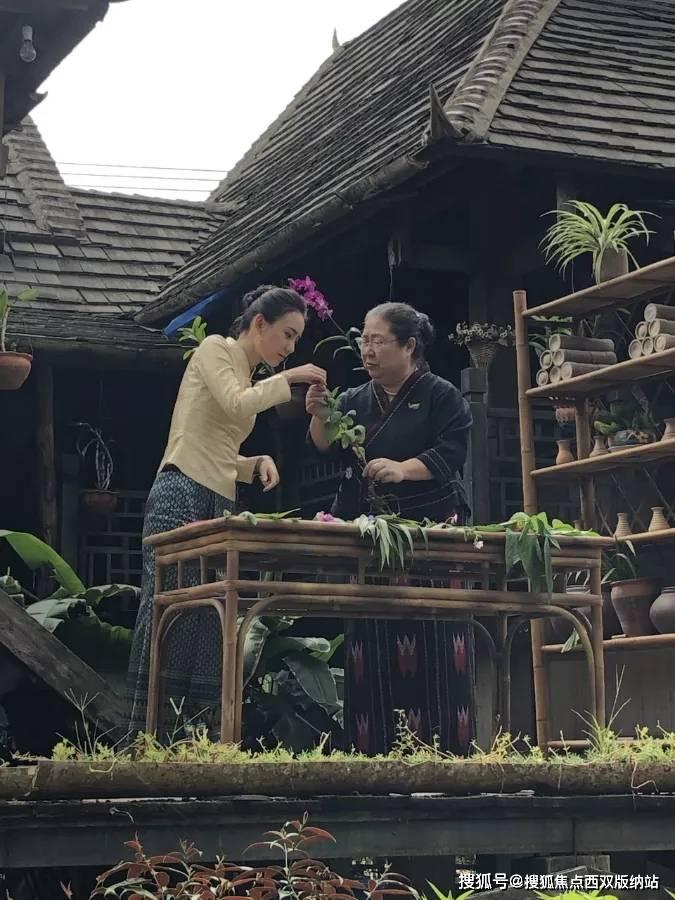 女生不回信息代表什么？游戏画面